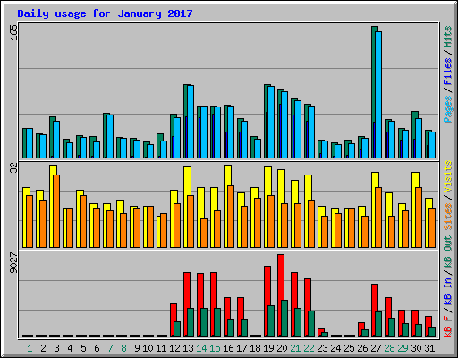 Daily usage for January 2017