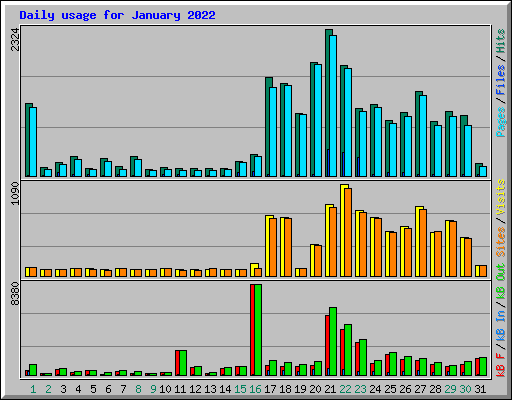 Daily usage for January 2022