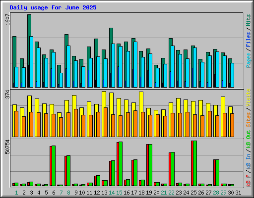 Daily usage for June 2025