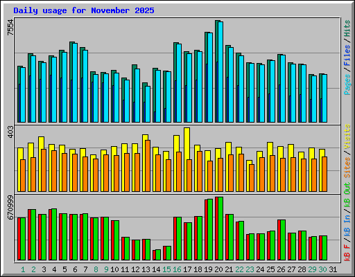 Daily usage for November 2025