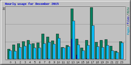 Hourly usage for December 2015