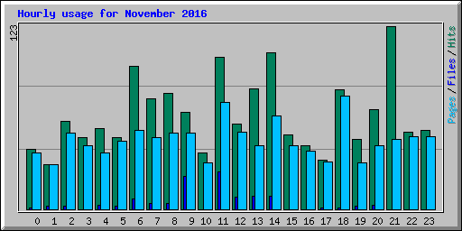 Hourly usage for November 2016