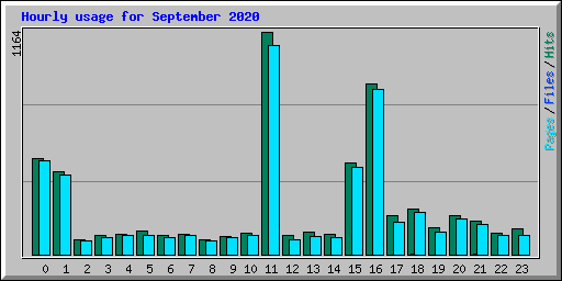 Hourly usage for September 2020