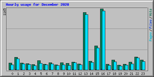 Hourly usage for December 2020