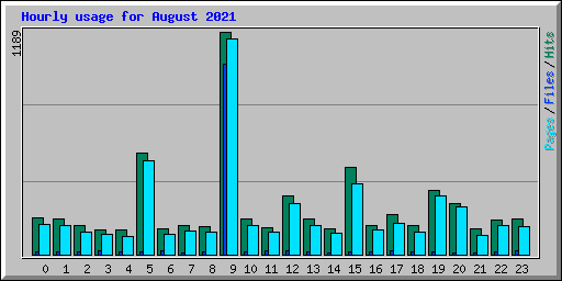 Hourly usage for August 2021