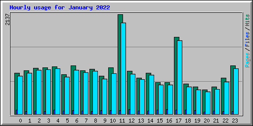 Hourly usage for January 2022