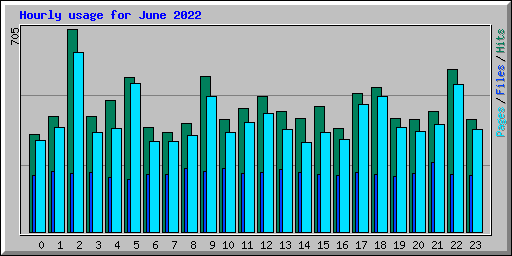 Hourly usage for June 2022