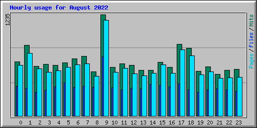 Hourly usage for August 2022