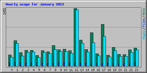 Hourly usage for January 2023