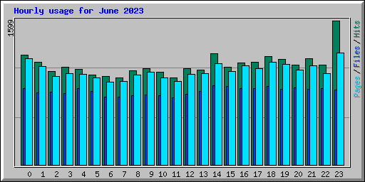 Hourly usage for June 2023