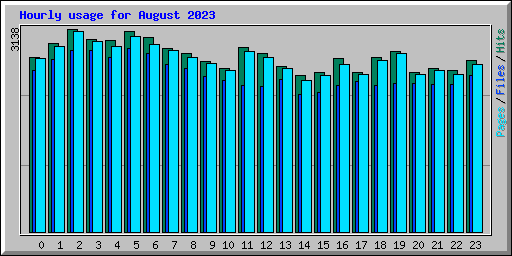 Hourly usage for August 2023