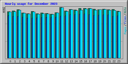 Hourly usage for December 2023