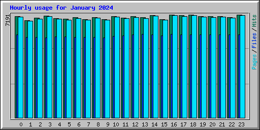 Hourly usage for January 2024