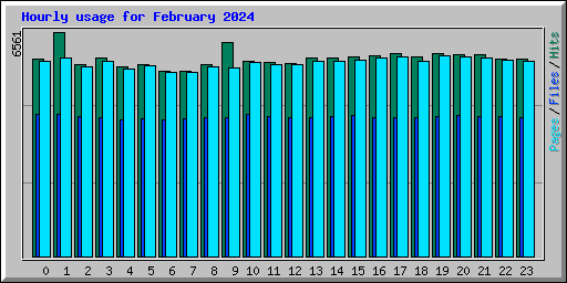 Hourly usage for February 2024