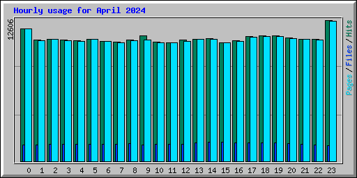 Hourly usage for April 2024