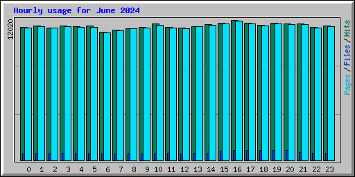 Hourly usage for June 2024