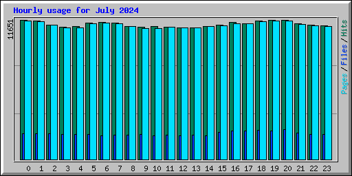 Hourly usage for July 2024