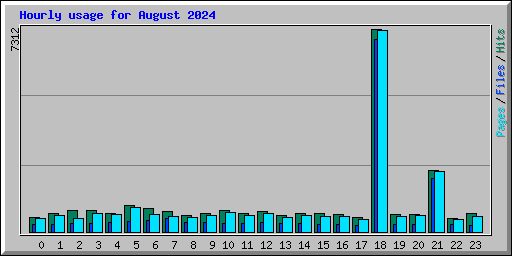 Hourly usage for August 2024