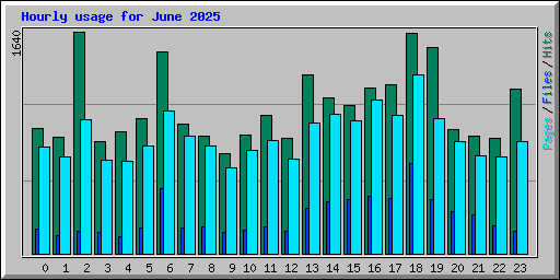 Hourly usage for June 2025