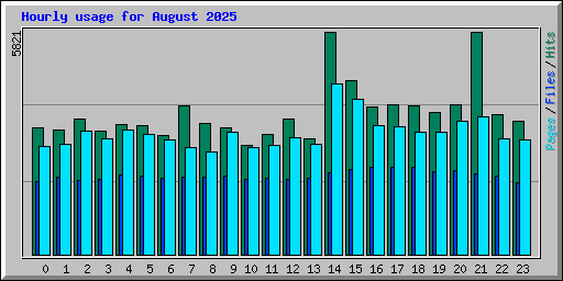Hourly usage for August 2025