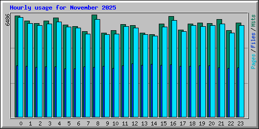 Hourly usage for November 2025
