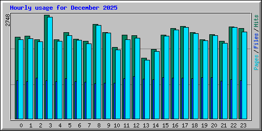 Hourly usage for December 2025