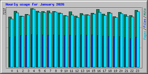 Hourly usage for January 2026