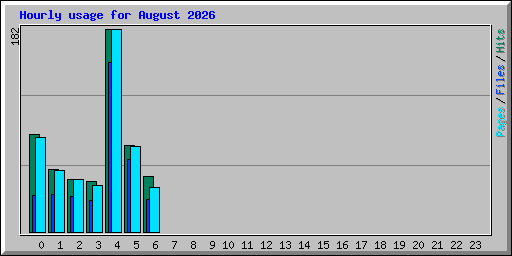 Hourly usage for August 2026